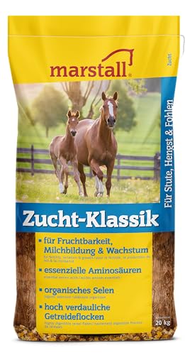 Marstall Zucht-Klassik 20kg f. Stuten, Hengste und Fohlen Marstall Zucht-Klassik 20kg f. Stuten, Hengste und Fohlen von marstall Premium-Pferdefutter