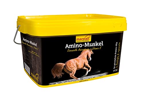 marstall Premium-Pferdefutter Amino-Muskel Plus, 1er Pack (1 x 9 kilograms) von marstall Premium-Pferdefutter