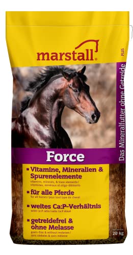marstall Premium-Pferdefutter Force, 1er Pack (1 x 20 kilograms) von marstall Premium-Pferdefutter