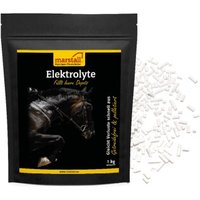 marstall Elektrolyte 1 kg von marstall