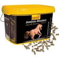 marstall Ergänzungsfutter Amino-Muskel 3,5 kg marstall Ergänzungsfutter Amino-Muskel 3,5 kg von marstall