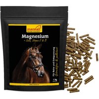 marstall Magnesium 1 kg von marstall