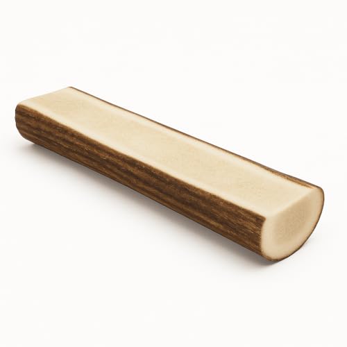 mascota vital - Hirschgeweih - 100% Hirschgeweih - Ideal für die Zahnpflege - 100% Natürlich - Geweih - Kauknochen - Hundespielzeug - Geweih vom Rothirsch (XL (120-160g), halbiert) von mascota vital