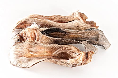 mascota vital - Getrocknete Lamm-Ohren mit Fell für Hunde – 100% natürlich & ohne Zusätze – leicht verdaulich, gut bekömmlich, gesunder Kausnack & natürliche Darmreinigung (Lamm-Ohren mit Fell) von mascota vital