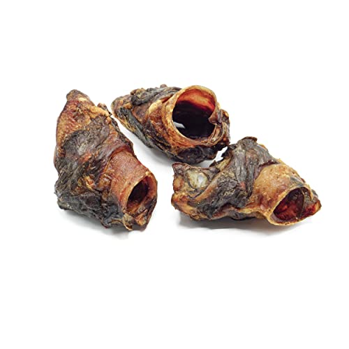 mascota vital - Pferde-Kehlkopf 300g, 100% Pferd, für ernährungssensible Hunde geeignet, sensitiv (Pferde-Kehlkopf) von mascota vital
