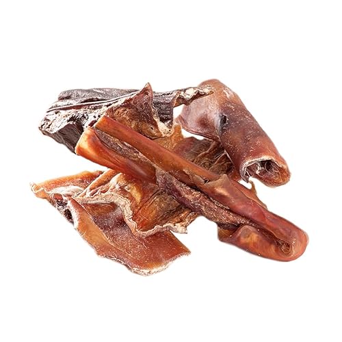 mascota vital - Rinder-Kopfhaut für Hunde – Natürlicher, getrockneter Kausnack, extra hart für Langen Kauspaß, unterstützt Zahnpflege & Kaumuskulatur, ohne Zusatzstoffe (Rinder-Kopfhaut 500g) von mascota vital