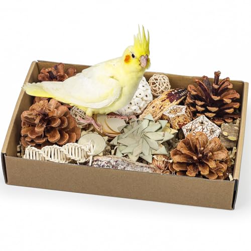 Vogelspielzeug, 23 Stück, natürliches Vogelkäfig-Zubehör, für Papageien, geeignet für Sittiche, Nymphensittiche, Sittiche, Sittiche, Unzertrennliche und kleine bis mittelgroße Vögel Vogelspielzeug, 23 Stück, natürliches Vogelkäfig-Zubehör, für Papageien, geeignet für Sittiche, Nymphensittiche, Sittiche, Sittiche, Unzertrennliche und kleine bis mittelgroße Vögel von matafat