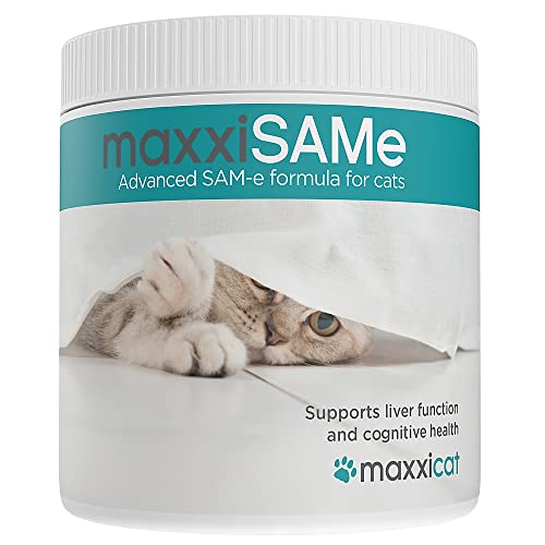 maxxipaws – maxxiSAMe Fortschrittliches SAM-e Nahrungsergänzungsmittel für Katzen – Unterstützt die Gesundheit von Leber & des Gehirns von Katzen – Pulver 90 g – MIT der Nahrung verabreichen von maxxipaws