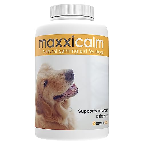 maxxipaws – maxxicalm - Natürliche Beruhigungshilfe für Hunde – Hilft Haustieren bei Stress durch Trennungsangst, Feuerwerken und Sturm – Mit Verhaltensanleitung für Hunde – 120 mundgerechte Tabletten von maxxipaws