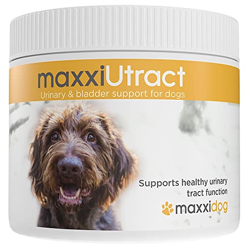 maxxipaws | maxxidog – maxxiUtract Preiselbeere Harn- & Blasen-Nahrungsergänzungsmittel für Hunde | Pulver 150g von maxxipaws