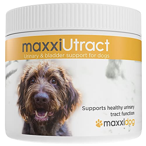 maxxipaws maxxiUtract Harnwegs- und Blasenunterstützung - Nahrungsergänzungsmittel in Pulverform für Hunde, 150g von maxxipaws