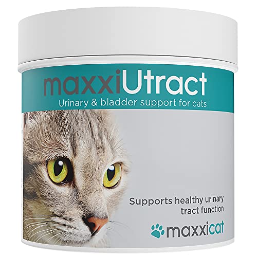 maxxipaws maxxiUtract Preiselbeere Harn- & Blasen-Nahrungsergänzungsmittel für Katzen – Hilft Infektionen des Harnwegs zu verhindern und unterstützt die Gesundheit des Harnsystems – Pulver 90g von maxxipaws