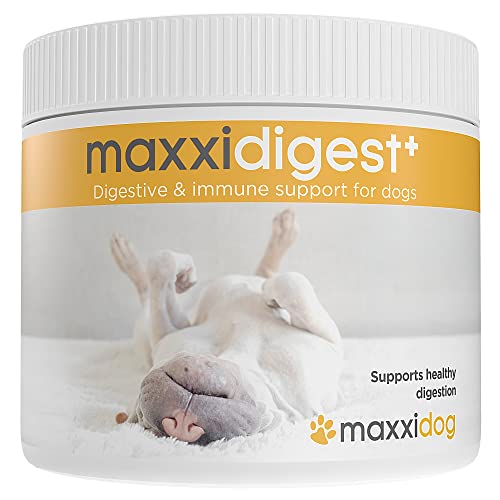 maxxipaws – maxxidigest+ Probiotika, Präbiotika & Verdauungsenzyme für Hunde – Fortschrittliche Unterstützung für die Verdauung und das Immunsystem von Hunden – Kein GMO-Pulver - Pulver 200 g von maxxipaws