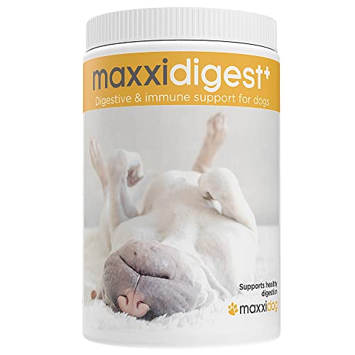 maxxipaws – maxxidigest+ Probiotika, Präbiotika & Verdauungsenzyme für Hunde – Fortschrittliche Unterstützung für die Verdauung und das Immunsystem von Hunden – Kein GMO-Pulver - Pulver 375 g von maxxipaws
