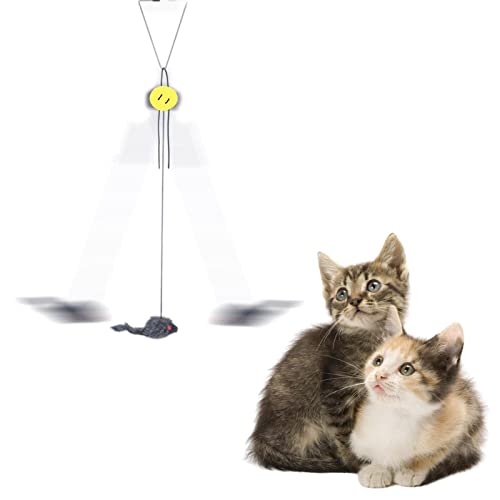 meimiao Katzenspielzeug Seil Maus - Tür Katzenspielzeug - Springen Interaktives Spielzeug, Tür Elastisches Seil Automatisch Lustige Katze Teaser Stick, Haustier Katzen Zubehör von meimiao