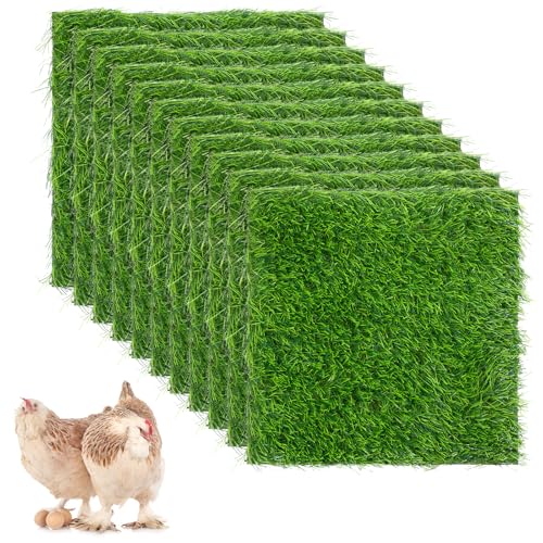 Hühner-Nistunterlagen, 30,6 x 30,5 cm, Nistkasten, waschbar, Hühnerstall, Bettwäsche, Verlegeteppich, Kunstrasen, Rasenteppich, Garten, Rasen für Henne und kleine Haustiere, 12 Stück Hühner-Nistunterlagen, 30,6 x 30,5 cm, Nistkasten, waschbar, Hühnerstall, Bettwäsche, Verlegeteppich, Kunstrasen, Rasenteppich, Garten, Rasen für Henne und kleine Haustiere, 12 Stück von mekueeex
