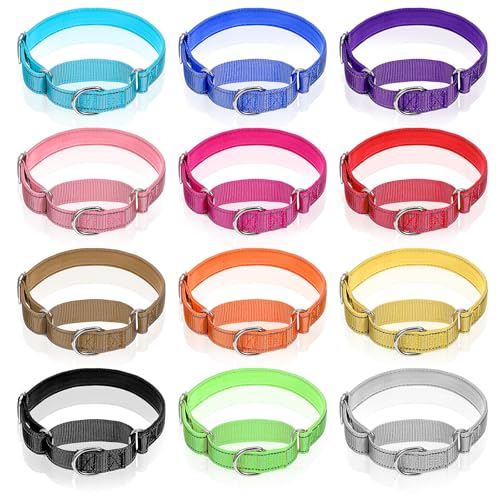 Martingale-Halsband für mittelgroße Hunde, reflektierend, mit robuster Metallschnalle, verstellbares Nylon, verhindert Herausrutschen für Welpen, 12 Farben (Medium), 12 Stück von mekueeex
