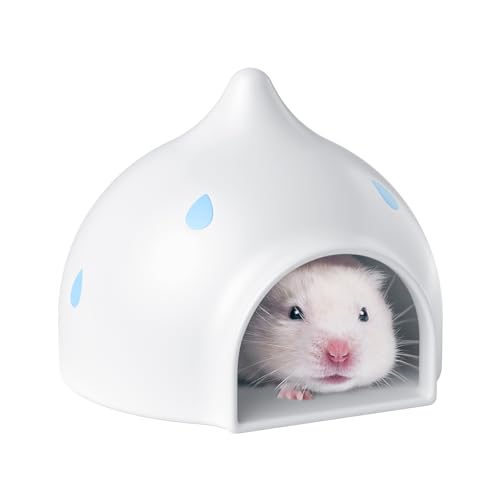 Hamsterversteck aus Keramik – Versteck Haus Regentropfenform Hamsterhaus kühles Bett ideal für Sommer Zwerghamster Rennmäuse Mäuse Lemmings Goldener Bär Hamsterversteck aus Keramik – Versteck Haus Regentropfenform Hamsterhaus kühles Bett ideal für Sommer Zwerghamster Rennmäuse Mäuse Lemmings Goldener Bär von mini&moe