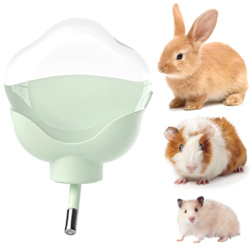 Meerschweinchen-Wasserflasche, tropffrei, 480 ml, Kaninchen-Wasserspender für Käfigkäfige, flache Rückseite, Design für syrische Zwerghamster, Hasen, Rennmäuse, kleine Haustiere Meerschweinchen-Wasserflasche, tropffrei, 480 ml, Kaninchen-Wasserspender für Käfigkäfige, flache Rückseite, Design für syrische Zwerghamster, Hasen, Rennmäuse, kleine Haustiere von mini&moe