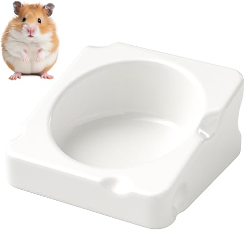 mini&moe Futternapf für Hamster, Keramik, Meerschweinchen, kaufest, für kleine Haustiere, Anti-Umdrehen, Futter und Wasser, Futternapf für Kaninchen, Rennmäuse, Mäuse, Ratten, Chinchillas, 10,9 cm mini&moe Futternapf für Hamster, Keramik, Meerschweinchen, kaufest, für kleine Haustiere, Anti-Umdrehen, Futter und Wasser, Futternapf für Kaninchen, Rennmäuse, Mäuse, Ratten, Chinchillas, 10,9 cm von mini&moe