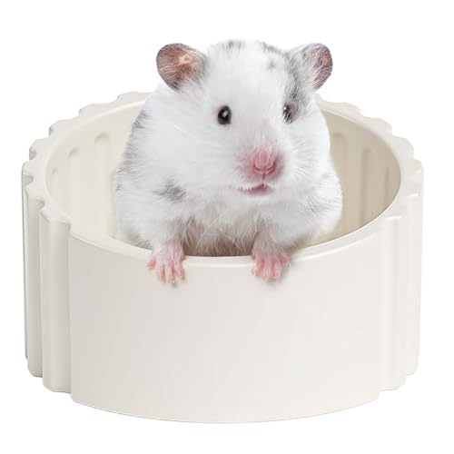 mini&moe Hamster Futternapf - Keramik Meerschweinchen Schüssel Anti-Turning Langlebig Kleintiere Schale für Zwerg Rennmäuse Ratte Kaninchen mini&moe Hamster Futternapf - Keramik Meerschweinchen Schüssel Anti-Turning Langlebig Kleintiere Schale für Zwerg Rennmäuse Ratte Kaninchen von mini&moe