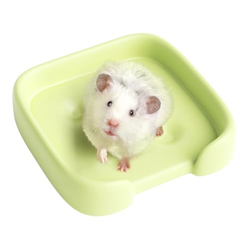 mini&moe Hamsterbett - Keramik Kühlendes Rattenbett Kleine Haustiere Matte Glatte Oberfläche Ideal für Sommer Zwerghamster Rennmäuse Mäuse Lemmings mini&moe Hamsterbett - Keramik Kühlendes Rattenbett Kleine Haustiere Matte Glatte Oberfläche Ideal für Sommer Zwerghamster Rennmäuse Mäuse Lemmings von mini&moe