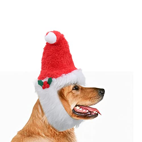 minifinker Weihnachtsmütze für Hunde, stilvolles weißes Bart-Design, hautfreundlich, atmungsaktiv, Hunde-Weihnachtsmannmütze für Neujahr (M) von minifinker