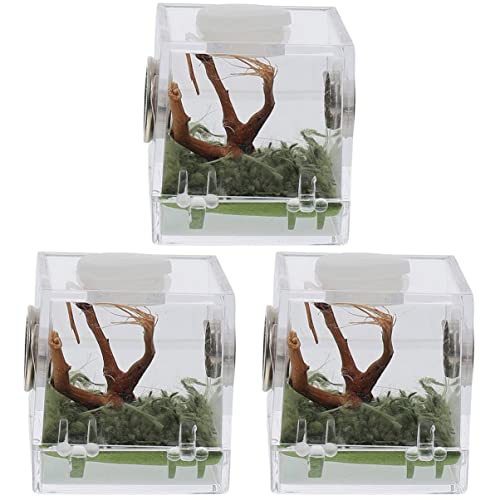 3er-box Springspinnen-zuchtbox Reptilien Terrarienbecken Glasbehälter Für Terrarien Terrariennebler Terrarium Terrarienbehälter Spinnenzuchtbehälter Luftbefeuchter Kriechen Acryl von minkissy