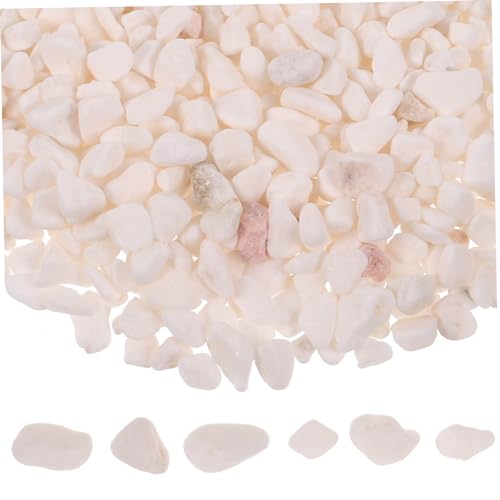 minkissy 1 Pflanzgefäß Mit Für Den Garten Dekosteine Für Vase Aquariensteine Kies Für Fischbecken Flussfelsen Für Aquarien Aquarienkies Aquarium Fischstein Weiß minkissy 1 Pflanzgefäß Mit Für Den Garten Dekosteine Für Vase Aquariensteine Kies Für Fischbecken Flussfelsen Für Aquarien Aquarienkies Aquarium Fischstein Weiß von minkissy