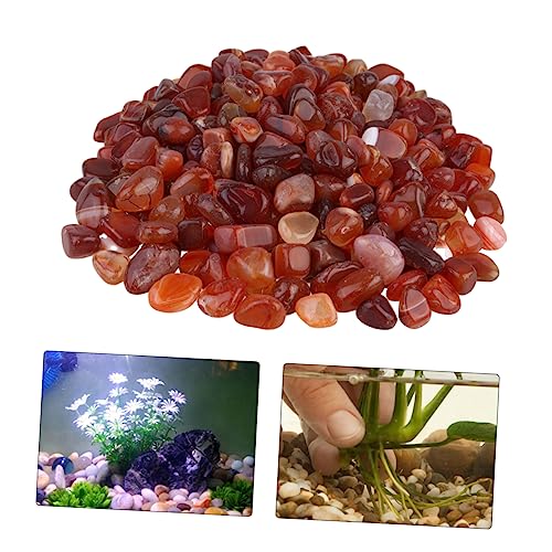minkissy 1 Packung Aquarienstein aus Stein schmücken Zubehör für Aquarien Gartenfelsen Ornament Aquarium Steinverzierung Aquariumstein Sukkulenten Kiesel Nanjing Dekorationen rauer Stein minkissy 1 Packung Aquarienstein aus Stein schmücken Zubehör für Aquarien Gartenfelsen Ornament Aquarium Steinverzierung Aquariumstein Sukkulenten Kiesel Nanjing Dekorationen rauer Stein von minkissy