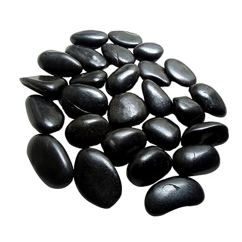 minkissy 1 Packung Kieselsteine für Aquarien Innenausstattung für Damen Dekokies für Aquarien Pflanzendekor Felsen Aquarium Steindekor Zubehör für Aquarien saftig schmücken Ornamente minkissy 1 Packung Kieselsteine für Aquarien Innenausstattung für Damen Dekokies für Aquarien Pflanzendekor Felsen Aquarium Steindekor Zubehör für Aquarien saftig schmücken Ornamente von minkissy