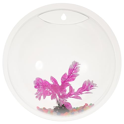 minkissy 1 Satz An Der Wand Befestigtes Aquarium Hängendes Glasterrarium Wand Aquarium An Der Wand Montierte Fischschale Hängendes Aquarium Wand Fischschale Anlage Blasenwand Acryl von minkissy