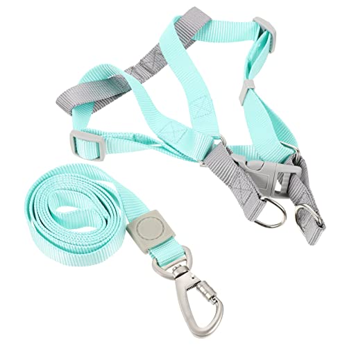 minkissy 1 Satz Verstellbares Hundegeschirr Kaninchengeschirr Kätzchenleine Hundeleine Katzengeschirr Leine Trainingsgeschirr Für Hunde Keine Zughundeweste Hunde Essentials Diensthundeweste minkissy 1 Satz Verstellbares Hundegeschirr Kaninchengeschirr Kätzchenleine Hundeleine Katzengeschirr Leine Trainingsgeschirr Für Hunde Keine Zughundeweste Hunde Essentials Diensthundeweste von minkissy
