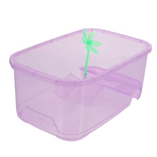 minkissy 1 Set-Box Schildkrötenbecken 1-gallonen-Tank Eidechsenbecken Fischträger Fischbecken Grillenhalter Für Reptilien Frosch Terrarium Kleiner Panzer Plastik Violett Reisen Mini von minkissy