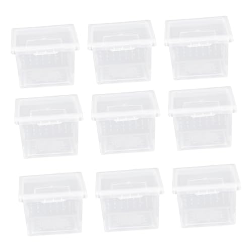 minkissy 10 Stück Schachtel Futterbox für Reptilien Terrarien Tarantelgehege Eidechsen Tier Insektennest Futterbehälter für Reptilien kriechen Terrarium Schildkrötenbecken Gecko Inkubator minkissy 10 Stück Schachtel Futterbox für Reptilien Terrarien Tarantelgehege Eidechsen Tier Insektennest Futterbehälter für Reptilien kriechen Terrarium Schildkrötenbecken Gecko Inkubator von minkissy
