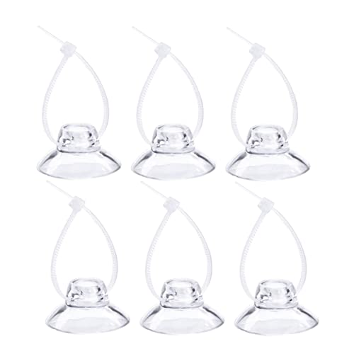 minkissy 12stücke Transparente Saugnäpfe Ohne Haken Für Küche Büro Bad Zur Dekoration Halten Von Postern Glatten Oberflächen minkissy 12stücke Transparente Saugnäpfe Ohne Haken Für Küche Büro Bad Zur Dekoration Halten Von Postern Glatten Oberflächen von minkissy