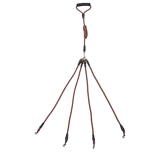 minkissy Hundeleine für Den Außenbereich 1 5 M Zugseil für Haustiere Vierfach Abnehmbares Design für Das Training Von Hunden minkissy Hundeleine für Den Außenbereich 1 5 M Zugseil für Haustiere Vierfach Abnehmbares Design für Das Training Von Hunden von minkissy