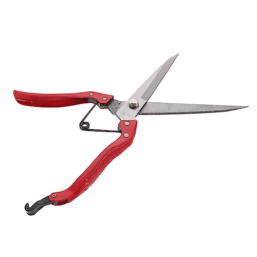 minkissy 1stk Wollschere Rasierer Für Katzenhaare Schafschermaschine Feder Werkzeug Schertrimmer Haushaltsgeräte Hundeschere Multitools Tier Stahl Schermaschinen von minkissy