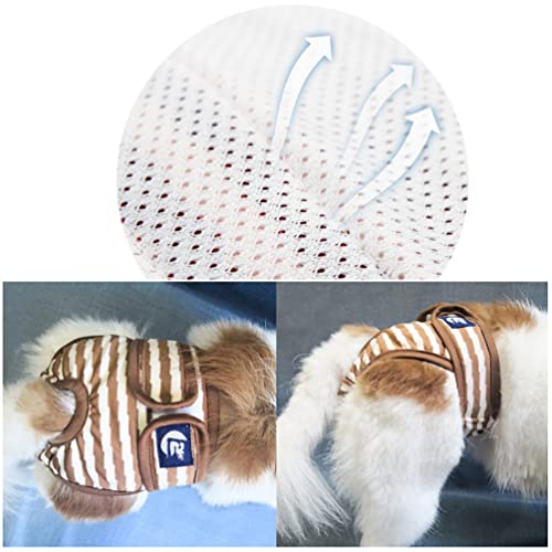 minkissy 1stk Wiederverwendbare Hundewindeln Weiblich Welpenwindeln Windeln Für Welpen Windeln Für Hunde Hygienehosen Für Haustiere Hundewindeln Weiblich Groß Hündin Der Hund Hündchen minkissy 1stk Wiederverwendbare Hundewindeln Weiblich Welpenwindeln Windeln Für Welpen Windeln Für Hunde Hygienehosen Für Haustiere Hundewindeln Weiblich Groß Hündin Der Hund Hündchen von minkissy