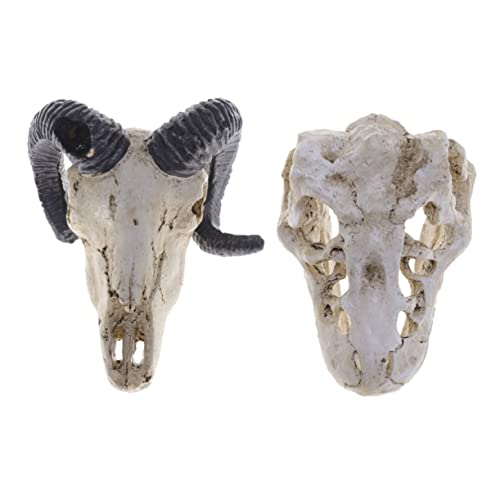 minkissy 2 Pcs Dinosaurier Schädel Harz Spielzeug Für Aquarium Reptil Verstecken Höhle Aquarium Zubehör Größe minkissy 2 Pcs Dinosaurier Schädel Harz Spielzeug Für Aquarium Reptil Verstecken Höhle Aquarium Zubehör Größe von minkissy
