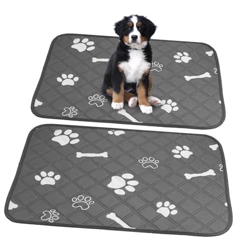minkissy 2 STK Hunde-wickel Polster Pinkelpads Für Welpen Töpfchen Für Hunde Hunde-PIPI-Pads PIPI-Pads Für Kleine Hunde Hundematte Für Futter Und Wasser Knochen Windeln Polyester Jeder Urin von minkissy