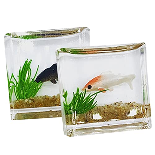 minkissy 2 Stück Miniatur Koi Fisch Tank Deko Robuste Mini Aquarien für Puppenhaus DIY Bastelprojekte Miniatur Dekoration für Zuhause Büro Zufällige Farbe Zufällige Farbe von minkissy