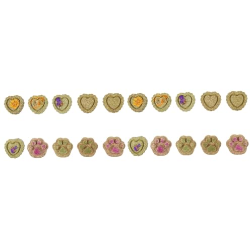 minkissy 20 STK Hasenzahngras Spielzeug Kaninchenfutter Graskuchen Chinchilla minkissy 20 STK Hasenzahngras Spielzeug Kaninchenfutter Graskuchen Chinchilla von minkissy