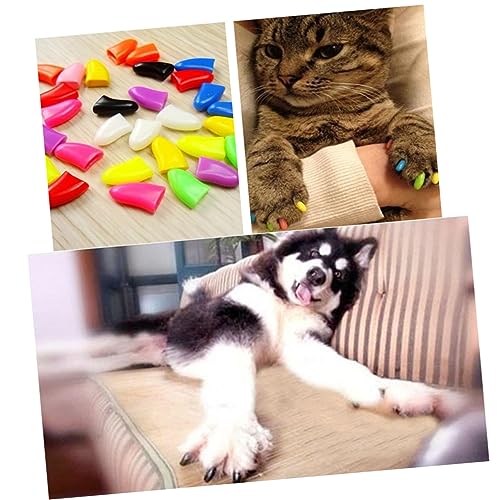 minkissy 20 STK Nagelkappen Für Katzen Klauenkappen Krallenabdeckungen Für Katzen Krallenkappen Für Katzen Kätzchen Mützen Katzenkratzer Anti-Griff minkissy 20 STK Nagelkappen Für Katzen Klauenkappen Krallenabdeckungen Für Katzen Krallenkappen Für Katzen Kätzchen Mützen Katzenkratzer Anti-Griff von minkissy