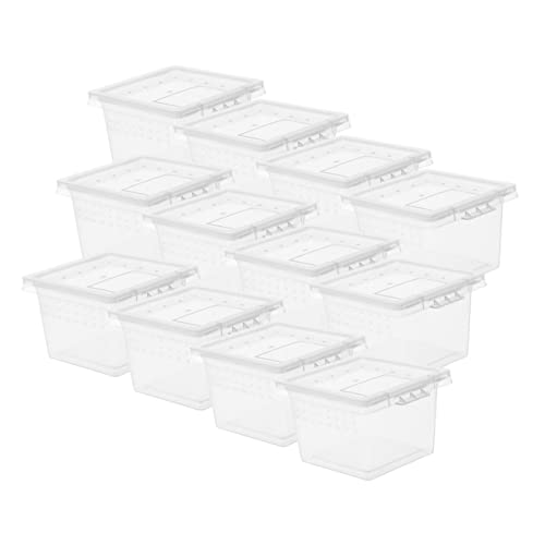 minkissy 20Er-Box Futterbox für Haustiere Terrarien für Reptilien Futterbehälter für Reptilien Eidechsen Behälter für Insektenzucht Reptilienhalter Glas Terrarium füttere die Schlange pp minkissy 20Er-Box Futterbox für Haustiere Terrarien für Reptilien Futterbehälter für Reptilien Eidechsen Behälter für Insektenzucht Reptilienhalter Glas Terrarium füttere die Schlange pp von minkissy