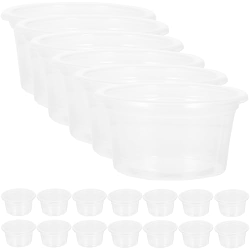 minkissy 20Pcs Reptile water box pangea crested gecko food gecko feeding cups water feeder cups mealworm feeder ledge plastic animals transparent reptile food cup Climbing pet horned frog von minkissy