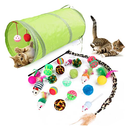 minkissy 21stücke Teiliges Katzen-Spielzeug Katzenangel Und Interaktiven Spielzeugen Für Haustiere Für Spiel Und Training Von Katzen Und Kätzchen von minkissy