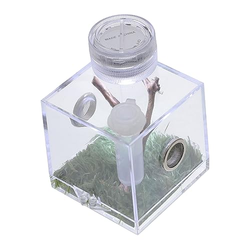 minkissy 2Er-Box Springspinnen-Zuchtbox Kleiner Luftbefeuchter Spinnen-Terrarium Mini-Luftbefeuchter Spinnenfall Spinnenhaus kleines Haustier Mini-Licht kleines Glas Zubehör kleine Spinne von minkissy