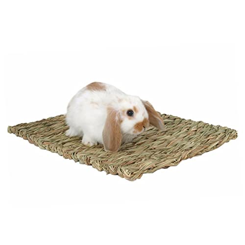 minkissy 2stücke Haustier-grasmatte Aus Seegras Sicher Und Essbar Spielzeug Für Nager Für Meerschweinchen Kaninchen Und Andere Kleintiere von minkissy