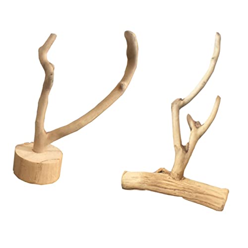 minkissy 2stücke Titel Aquarium Driftwood Dekoration Natürliche Holzornamente Für Aquarienlandschaft Wassersäule Und Terrarien minkissy 2stücke Titel Aquarium Driftwood Dekoration Natürliche Holzornamente Für Aquarienlandschaft Wassersäule Und Terrarien von minkissy